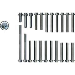 Kit Parafuso Zincado FixaçaoTampa Motor Titan Ks/Cargo 125