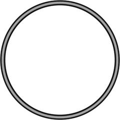 Anel Oring 29x2,7 Coletor Admissão Cg 82