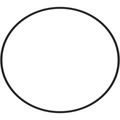 Anel Vedação Gerad. Denso (Mesa Magneto) BIZTodas