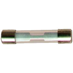 FUSIVEL VIDRO 30 AMP*