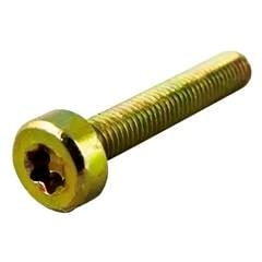Parafuso Para MotoSerra Cabeça Cilindrica Torx T27 5x20