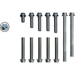 Kit Parafuso Zincado Tampa Lateral Esquerda Motor Nxr Bros 125