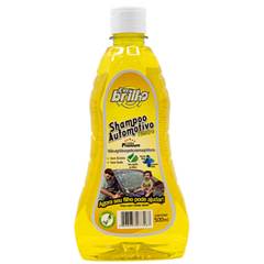 Shampoo Automotivo Lava Carros Concentrado 500ml Evobrilho