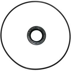 Kit Vedação Magneto Biz Ks 100/125