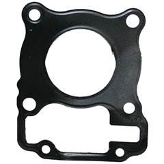 Junta Cabeçote Fan 125 2009