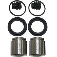 REP. PINCA C/PISTAO(46MM) HR 05/¿