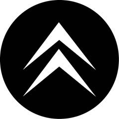 Kit Emblema Resinado Da Calota 51mm Citroen