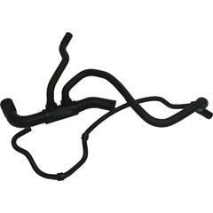 MANG. RAD. INF. C/AR PALIO/FIRE 01/...