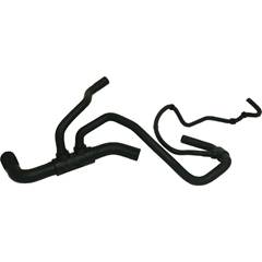 MANG. RAD. INF. PALIO/FIRE 01/12 SIENA