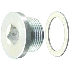 Bujao do Carter Ranger 3.0 08/...MWM Eletronic