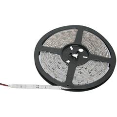 FITA LED 24V 5MT BRANCO