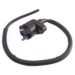 Bobina De Ignição Cargo/Titan (95/99)