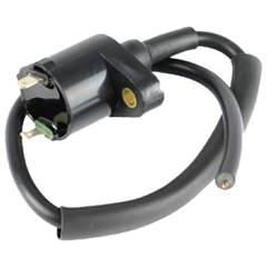 Bobina De Ignição Titan (00/02)