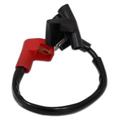 Cabo De Bateria Positivo Biz 125 (09/10)