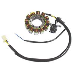 Estator Ybr/Xtz 125 (02/05)