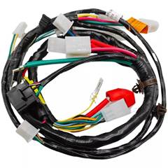 Fiação Principal C100 Biz Es (02/06)