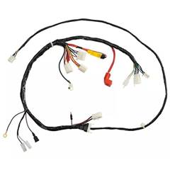 Fiação Principal C100 Biz Es (98/01)