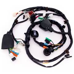 Fiação Principal Cg 125 Fan (14/15) Es