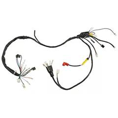 Fiação Principal Cg 125 Fan (.../08)