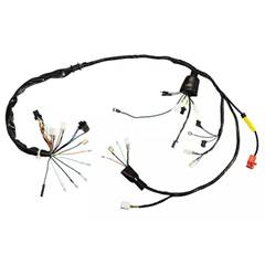 Fiação Principal Cg 125 Titan Ks (00/01)