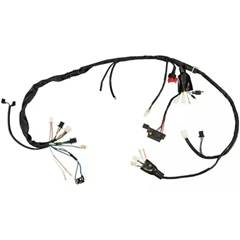 Fiação Principal Cg 150 Titan Es/Esd (.../08)