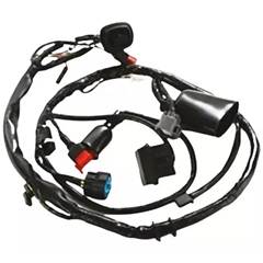 Fiação Principal Cg 150 Titan Ks (04/08)