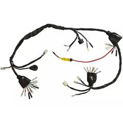 Fiaçao Principal Xlr 125 Ks 01/02