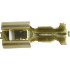 Terminal Latão Encaixe Fêmea Com 100