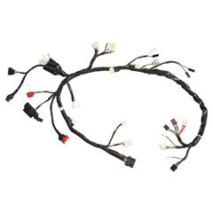 Fiação Principal - Cg 150 Titan Es (2009-2009) / Cg 150 Titan Esd (2009-2009)