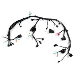 Fiação Principal - Cg 160 Cargo  Flex (2018-2021) / Cg 160 Fan Esd Flex (2018-2021) / Cg 160 Titan Ex Flex (2018-2021)