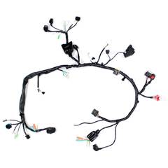 Fiação Principal - Cg 160 Fan Esdi Flex (2016-2017) / Cg 160 Cargo  Flex (2016-2016) / Cg 160 Cargo Esdi Flex / Cg 160 Titan Ex Flex (2016-2017)