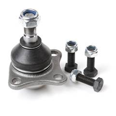 PIVO INF PALIO 96/99 SIENA 98/99