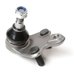 PIVO INF COROLLA 08/19