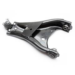 BDJ INF LD DUSTER 11/20