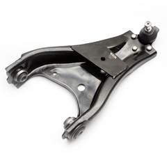 BDJ INF LE DUSTER 11/20