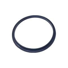 Guarniçao da Flange do Modulo de Coustivel Ducato