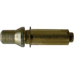 PINO PORTA PALIO/SIENA/WEEKEND/STRADA C/